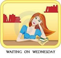 Waiting on Wednesday: Riders by Veronica Rossi