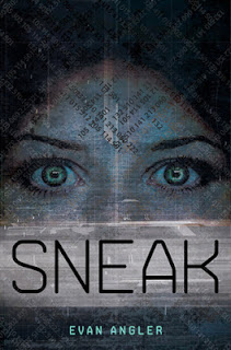 Sneak (Swipe #2) by Evan Angler