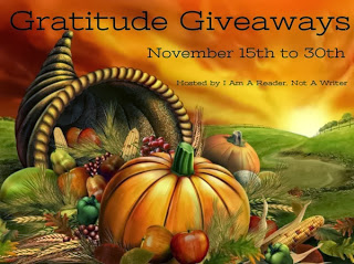 2013 Gratitude Giveaway Hop