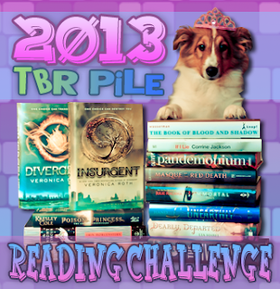 2013 TBR Pile Reading Challenge Wrap Up