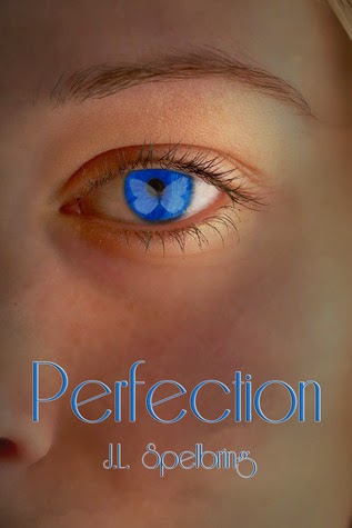 Review:  Perfection by J.L. Spelbring