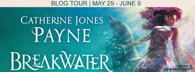 Blog Tour – Author Interview and Giveaway:  Breakwater by Catherine Jones Payne