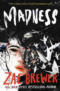 Review:  Madness by Zac Brewer