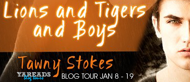 Blog Tour with Giveaway:  Lions and Tigers and Boys by Tawny Stokes