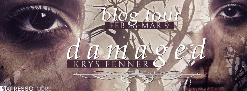 Author Interview with Giveaway:  Damaged (Dark Road #2) by Krys Fenner