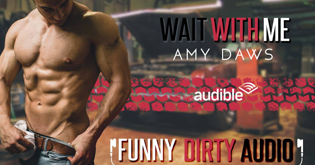 Audiobook Release Blitz:  Wait With Me by Amy Daws
