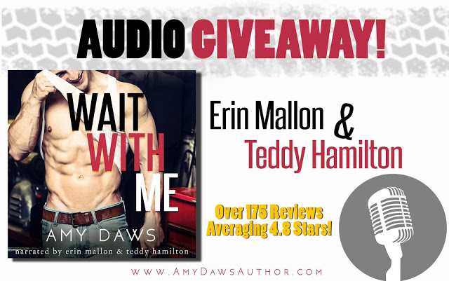 Giveaway:  Audio Code for Wait With Me by Amy Daws