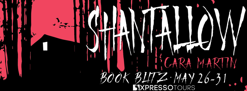 Book Blitz with Giveaway:  Shantallow by Cara Martin