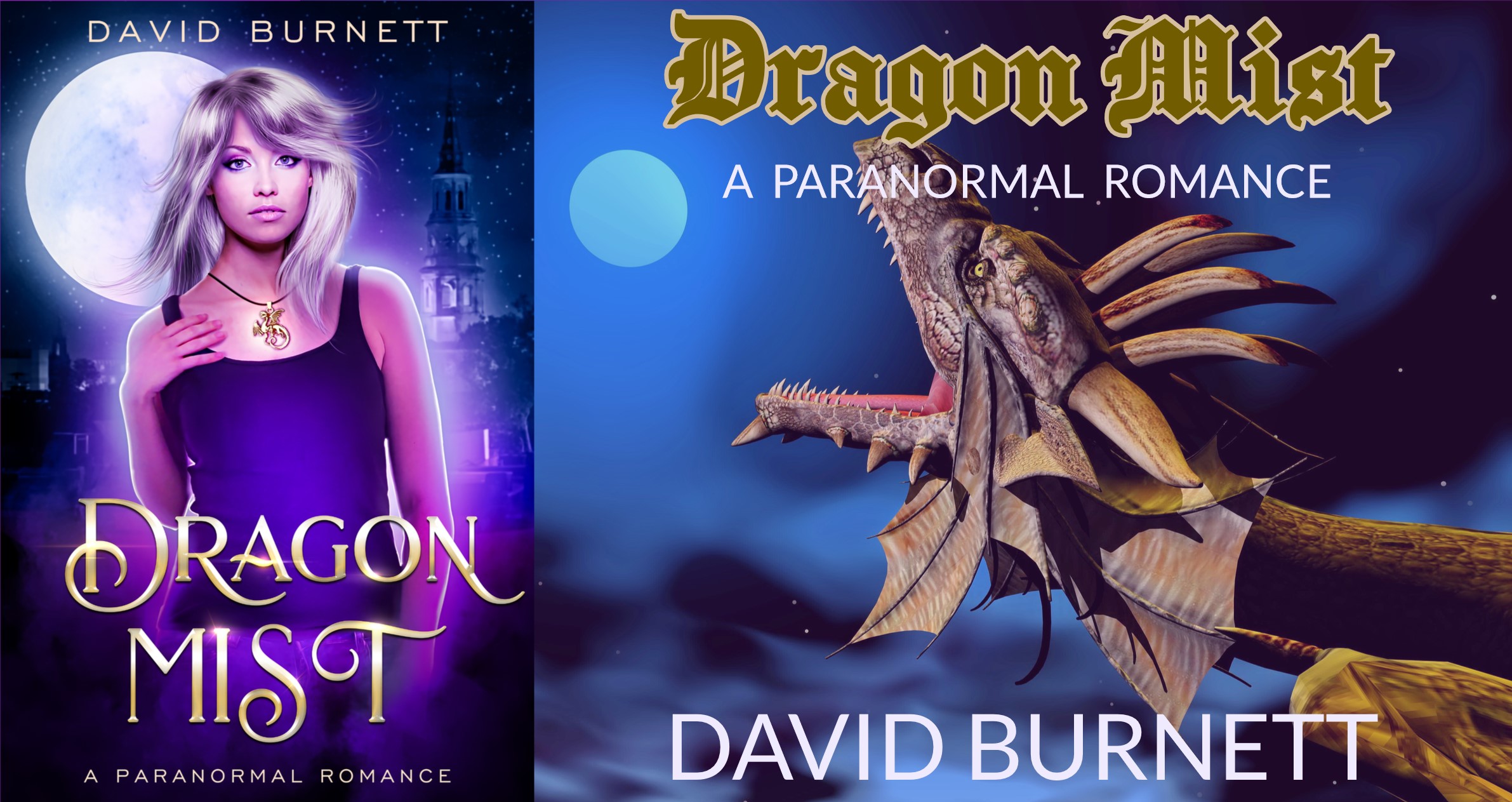 BOOK REVIEW TOUR: DRAGON MIST by DAVID BURNETT @DavdBurnett #Fantasy #Paranormal #Dragons @beckvalleybooks